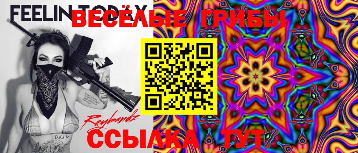 Михайловск  Галлюциногенные грибы Psilocybe  Вход с VPN 